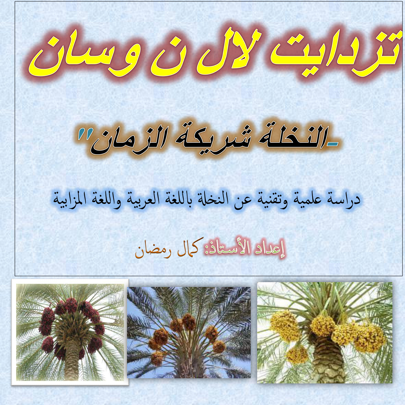 النخلة شريكة عقد من الزمان (تازدايت لال ن وسان)