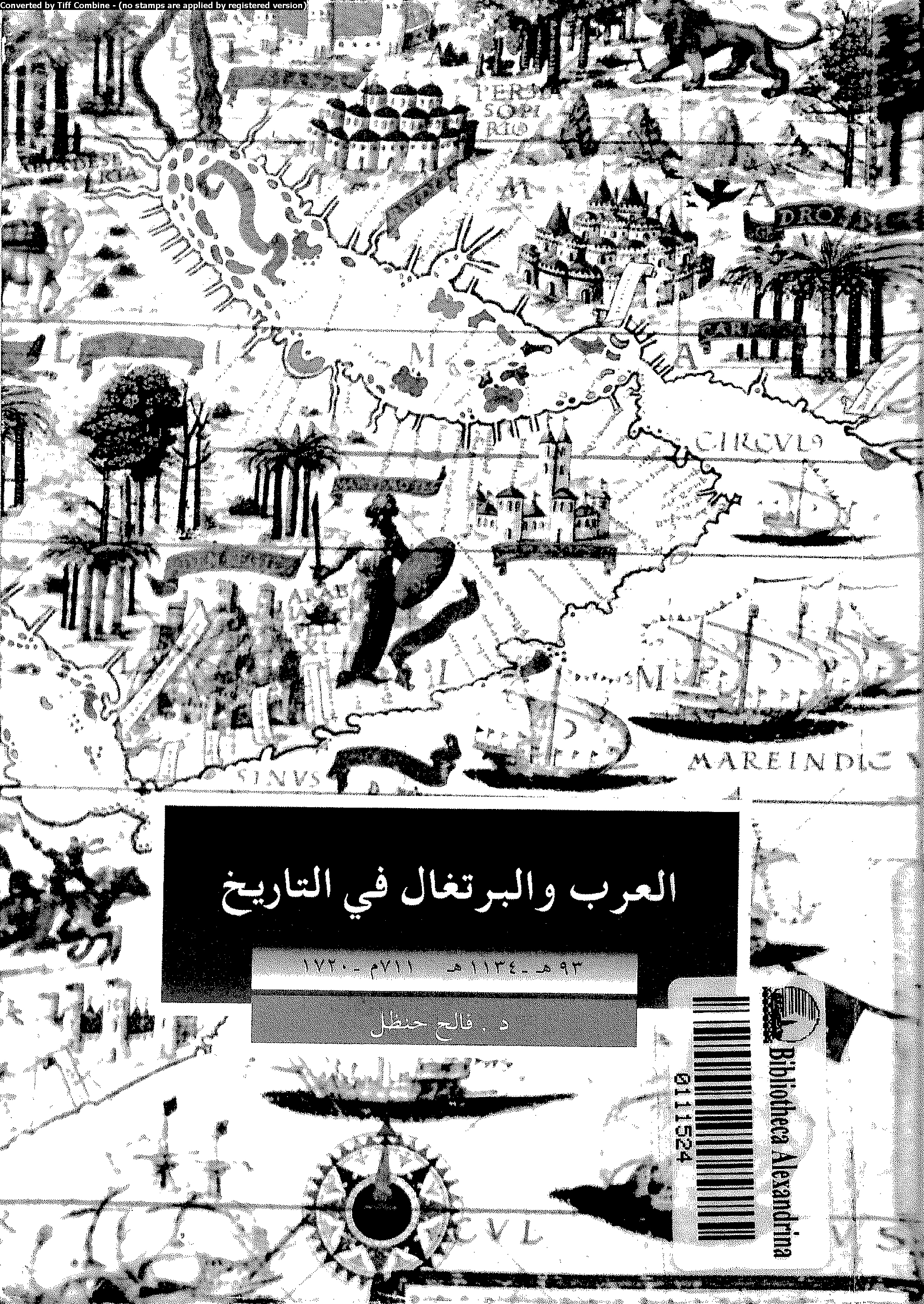 العرب والبرتغال في التاريخ